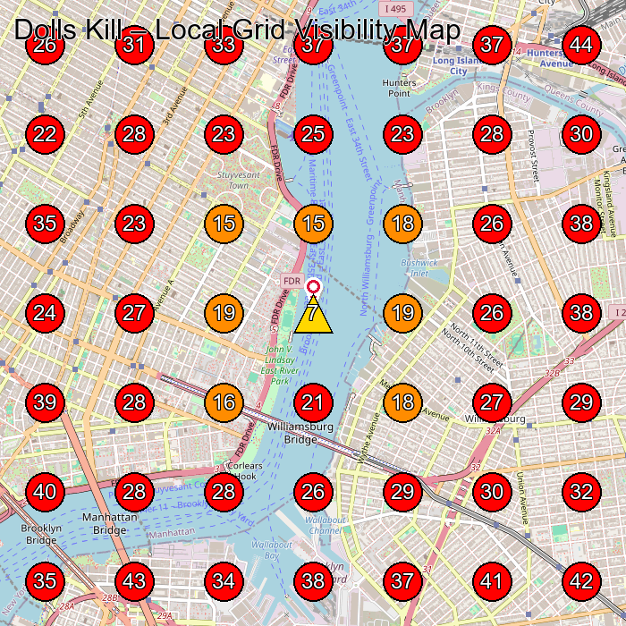 Dolls Kill GeoGrid visibility map for Clothing Store in Brooklyn